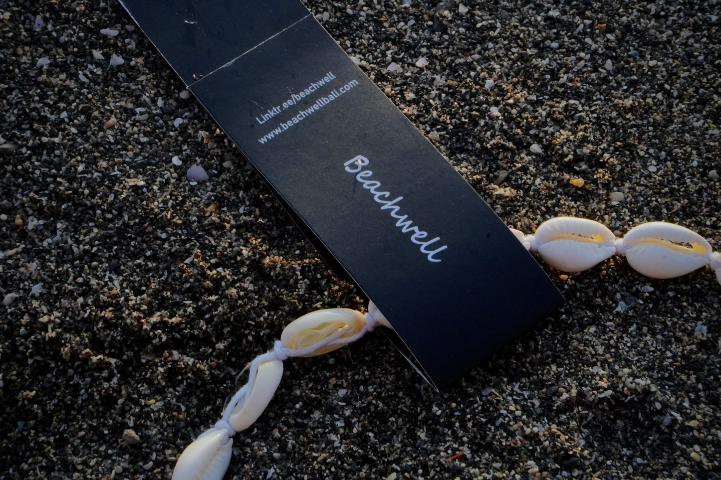 Summer Natural Shell Necklace